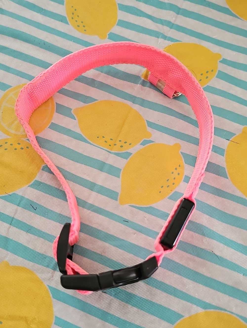 Light Up Dog Collar